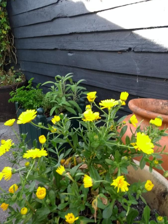 트레데가 Cosy, Dog Friendly House On The Fringe Of The Brecon Beacons 빌라 외부 사진